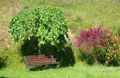 Candamo Municipality Cottage | Self catering Doña Palla for 5 people