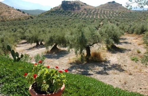 Mancha Real Cottage | Self catering La Cateta for 2 people