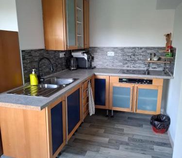 Hladke Zivotice Apartment | Separate apartment in a family house