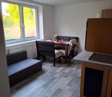 Hladke Zivotice Apartment | Separate apartment in a family house