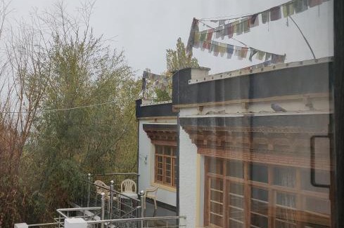 Leh House | Serdung Guest House