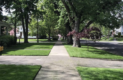 Walla Walla House | Serene Bungalow on tree-lined street