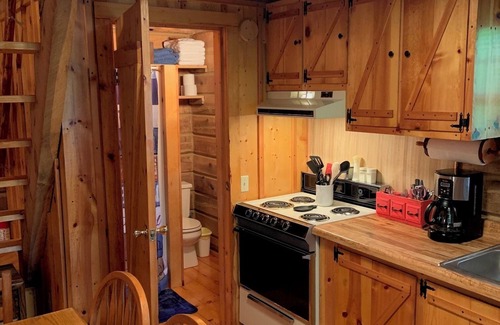 Flat Hollow Marina Cabin | Serene cabin with dock/swim platform in charming Speedwell