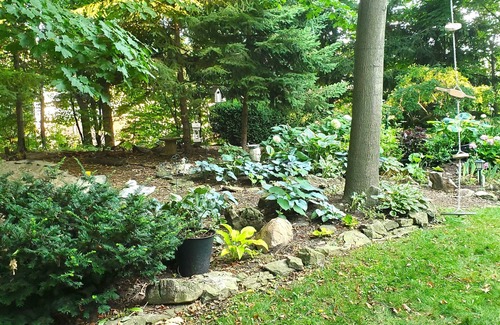 Hamilton House | Serene Forest Retreat with King Bed and Fireplace