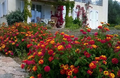 Sartene House | Serraggia Roccapina: spacious house, 20 mins from Sartène, 30 mins from Bonifacio
