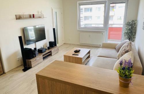 Trencin Apartment | SGL apartment Liptovska with free parking