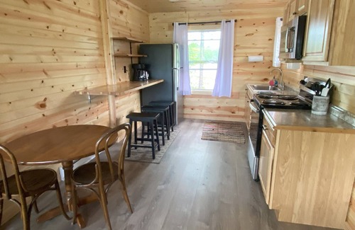 Rhinelander Cabin | Shady Rest Cabin #1, Sunset Views, Beach, Pets Welcome, Swimming, Firepit