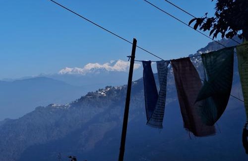 Darjeeling House | Shiv Eco Camp