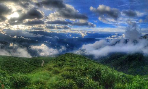 Darjeeling House | Shiv Eco Camp