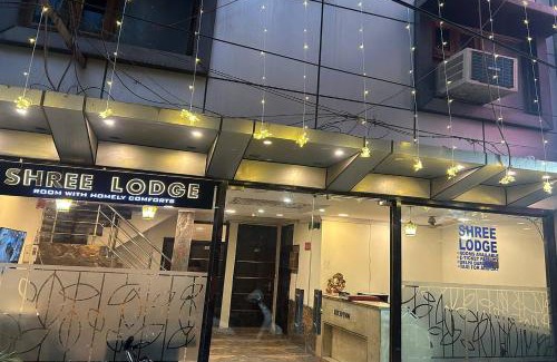 Paharganj Hotel | Shree Lodge Near New Delhi Railway Station, Paharganj