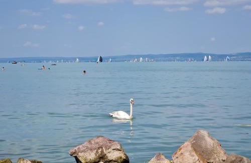 Siofok Aranypart Apartment | Siófok Sophia Apartman