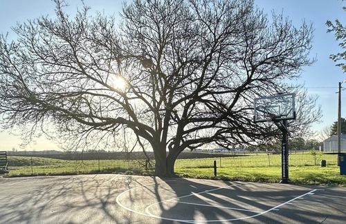 Sheridan House | Sidelines @ Grand Park Game Room Basketball Court Sleeps 13+