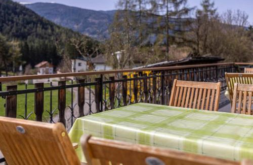 Pfalzen Apartment | Silbernagl direkter Blick zum See