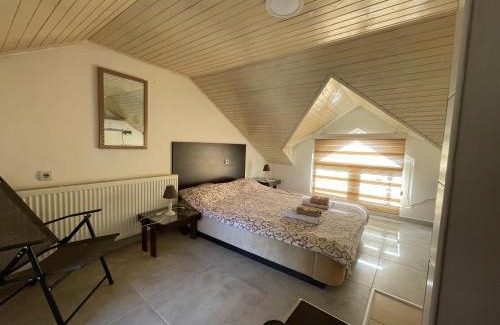 Arandelovac Apartment | Simic