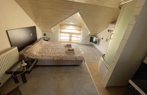 Arandelovac Apartment | Simic