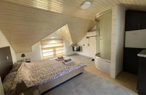 Arandelovac Apartment | Simic