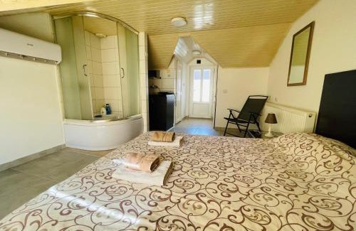 Arandelovac Apartment | Simic