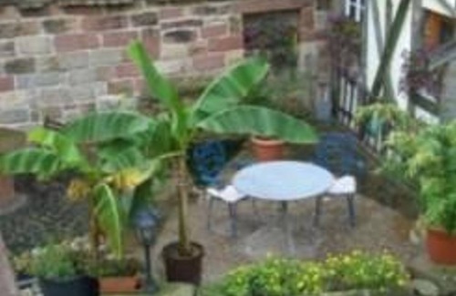 Neustadt-Hambach Bed & Breakfast | Single Room Shower/WC - Gästehaus Almel