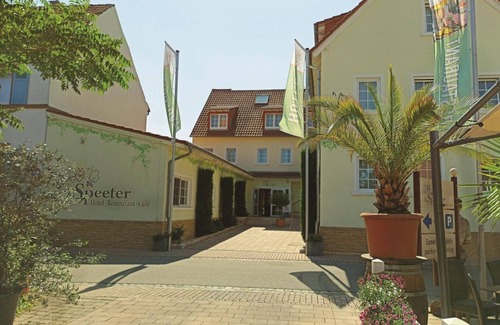 Weisenheim am Berg House | Single room, shower or bath, WC, non-smoking - Speeter - Hotel/Restaurant