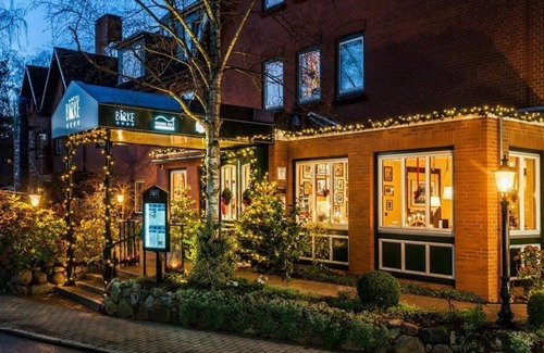 Hasseldieksdamm House | Single room, shower, toilet, Classic - Hotel Birke