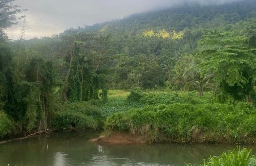Kotapola House | Sinharaja Riverside