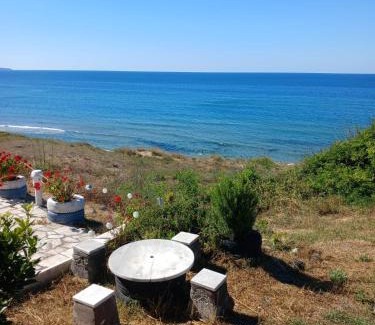 Sinop Apartment | Sinop Barış Pansiyon