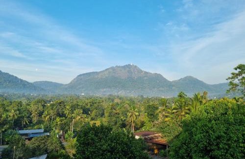 Udapalatha Bed & Breakfast | Sisila rest