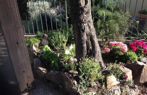 Villa Viani House | Six - Accommodation under pool with panoramic view, among olive trees, sea 15 km away