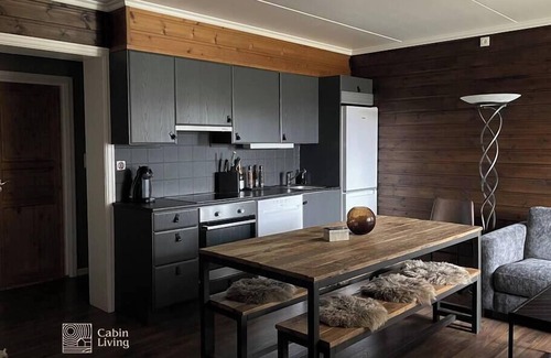 Trysil Apartment | Ski in/out apartment in Trysil with Sauna and fireplace