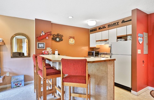 Ludlow Condo | Ski-in/out condo near ski school with washer/dryer, fast WiFi, & mountain views