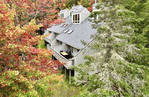 Bretton Woods Condo | SKI IN - SKI OUT- 5 Bedrooms - 1 gig wifi, Mountain View’s