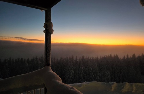 Snowshoe Condo | Ski In/Ski Out. Next to the village. Gated parking. Mtn views. Free Wi-Fi. #284