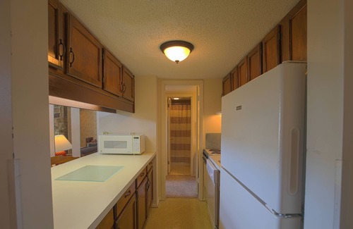 Mount Jackson Condo | Ski/MTB/Golf Condo (#132) - Slope side | Mountain, golf course views | Vaulted ceilings!