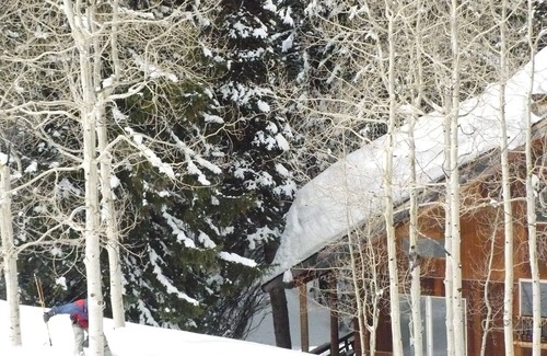 Salt Lake Mountain Resorts Cabin | Ski to Cabin from Brighton Ski Resort