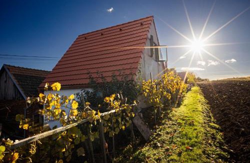 South Moravian House | Sklípek Na Císařské