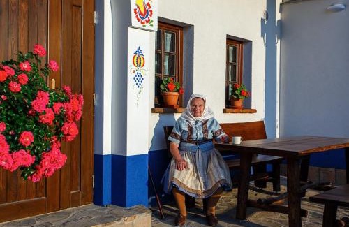 Hovorany House | Sklipek U Tomáša