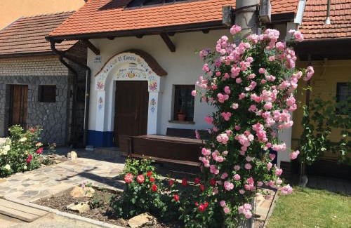 Hovorany House | Sklipek U Tomáša
