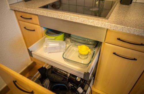 Widen Apartment | Sky Paradise 20min to zurich city centre