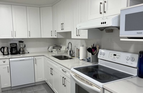 Port Coquitlam House | Skytrain Poco Beautifully Reno'd Ground Level Unit