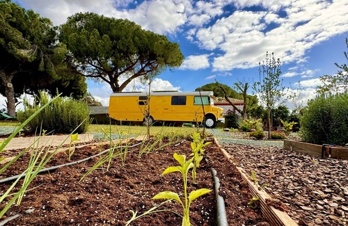 Bollullos de la Mitacion House | Sleeping in the Historic Bus 15 minutes from Seville surrounded by nature