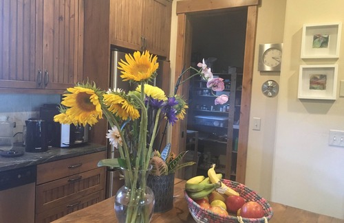 Eagle House | Sleeps 6 comfortable, cozy special Winter Lodge, a Summer Heaven fully furnished