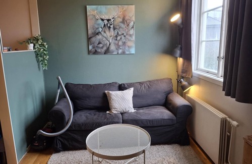 Trondheim Condo | Small but cozy apartment in central Persaunet, parking space, private bathroom