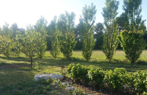Aix-en-Provence House | Small house within a preserved natural area of 30 hectares.