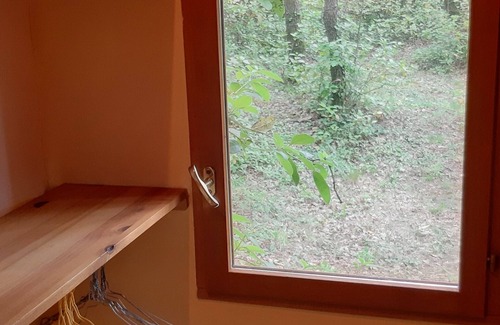 Piolenc House | Small house on shady plot, swimming pool not overlooked, close to the village.