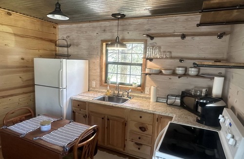 Quitman Cabin | Small Rustic Cabin Near Greers Ferry Lake w/1 Bedroom 1 Bath &Full Size Sofa bed