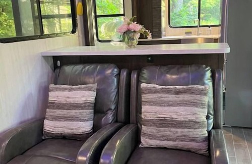 Grand Rapids House | Small RV come “GLAMP” in style