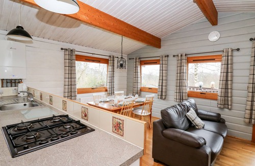 Rhayader Cottage | SNOWY OWL LODGE, pet friendly, with hot tub in Rhayader