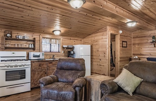 Ruidoso Cabin | Snuggle Inn: Cozy Studio Cabin in Upper Canyon With a Hot Tub!