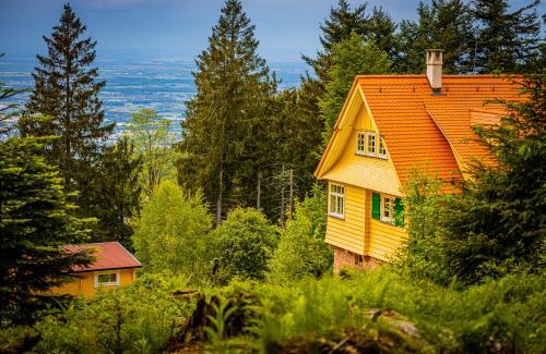 Sasbachwalden House | Sonnenhäusle - Natur. Fernblick. Panorama-Sauna.