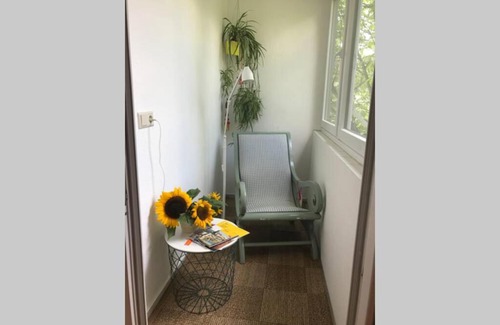 Ostheim Apartment | Sonnige 2-Zimmerwohnung mit Veranda